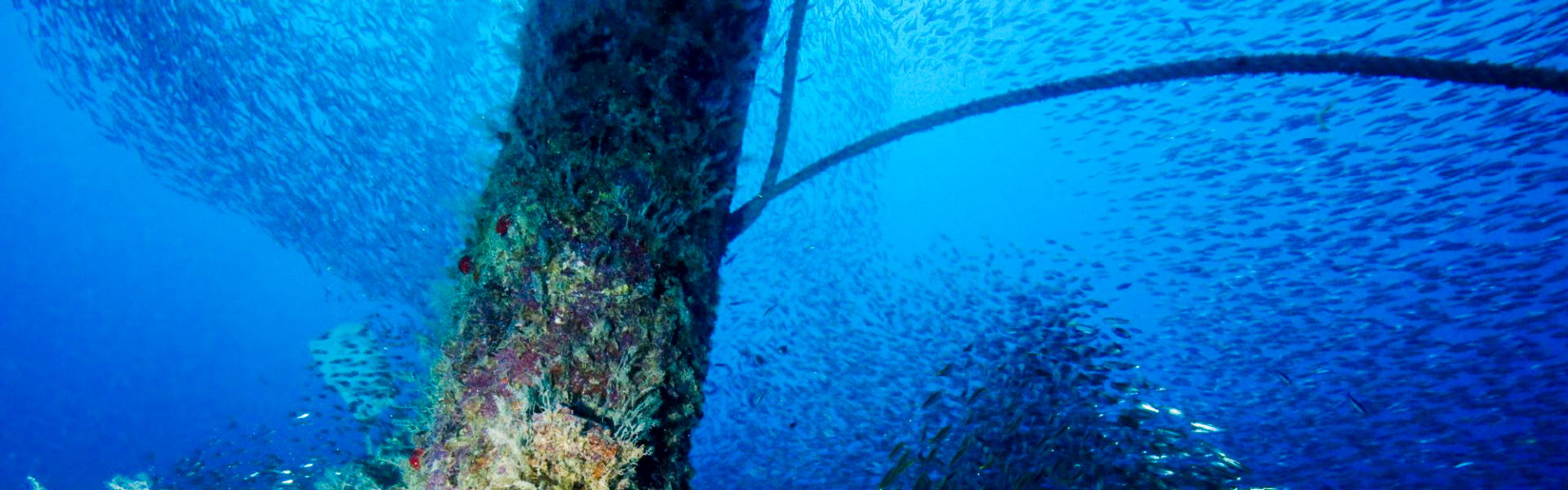 Wreck Diving In Egypt ; Strait of Gubal